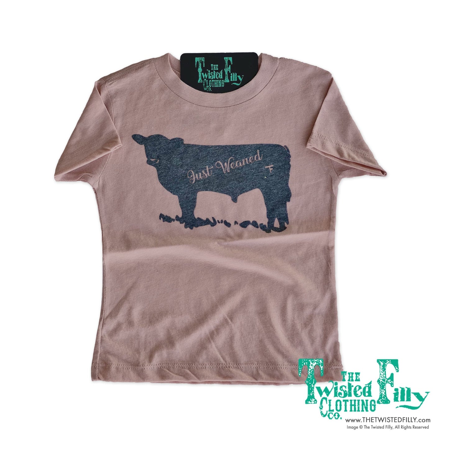 Just Weaned - Infant Dusty Rose SS Tee (6pcs)