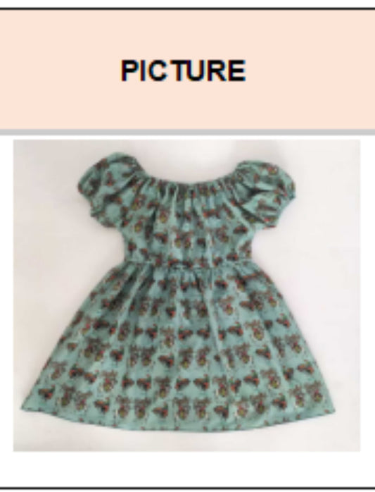 Teal Howdy - Toddler Elastic Dress (4pcs)